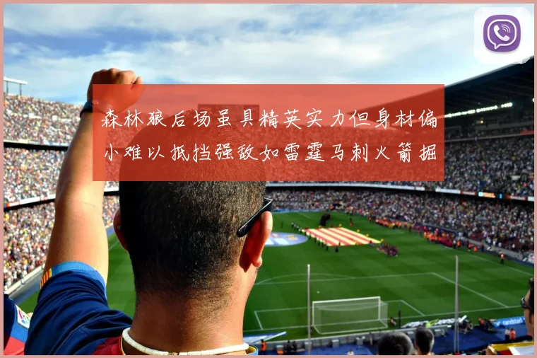 森林狼后场虽具精英实力但身材偏小难以抵挡强敌如雷霆马刺火箭掘金